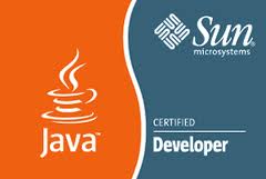Sun Certified Java Developer